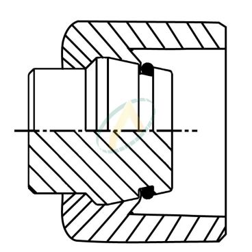 Bouchon obturateur Femelle 3/8 BSP