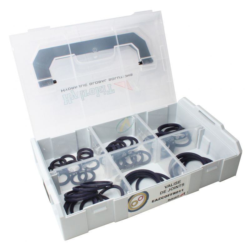 Boîte d'assortiment avec joints de bride SAE - pour brides de 3000 à 6000  psi - avec kit de levage de joint torique